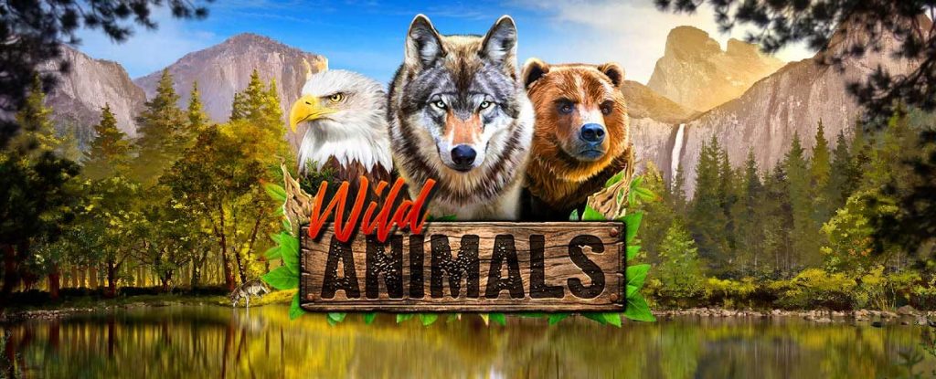Os Animais Selvagens em Ação